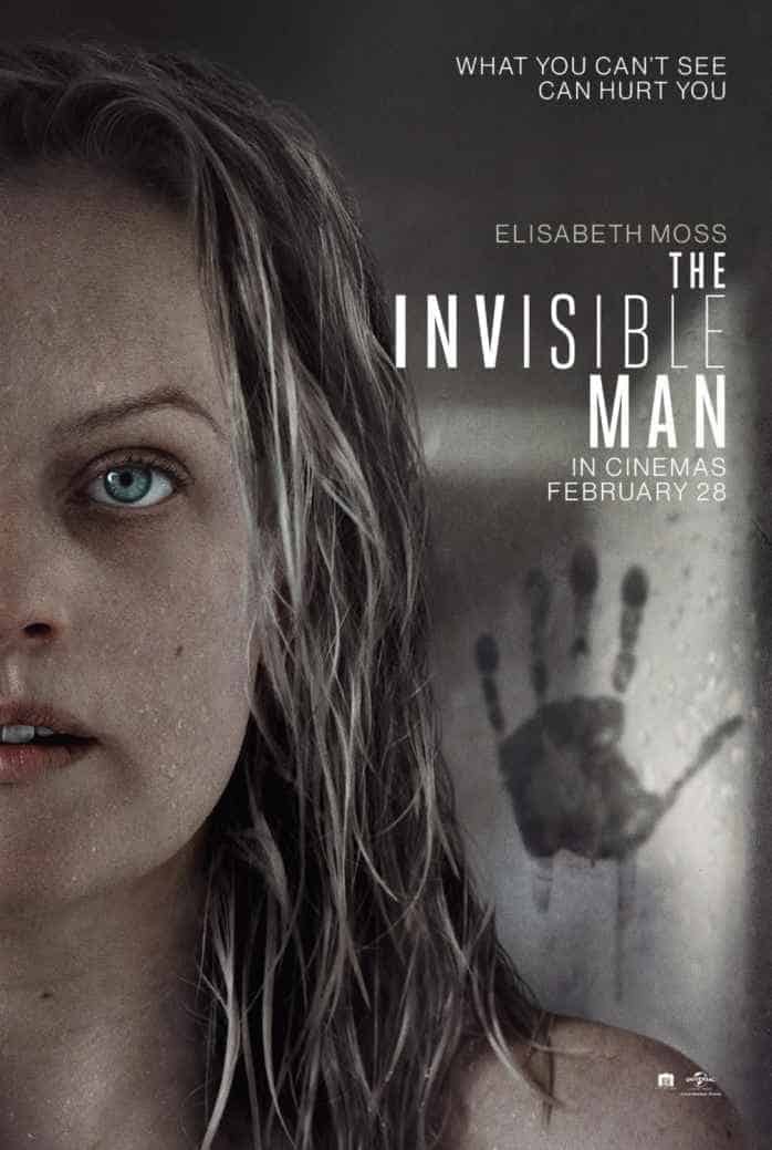 movies like Bird Box The Invisible Man (2020)