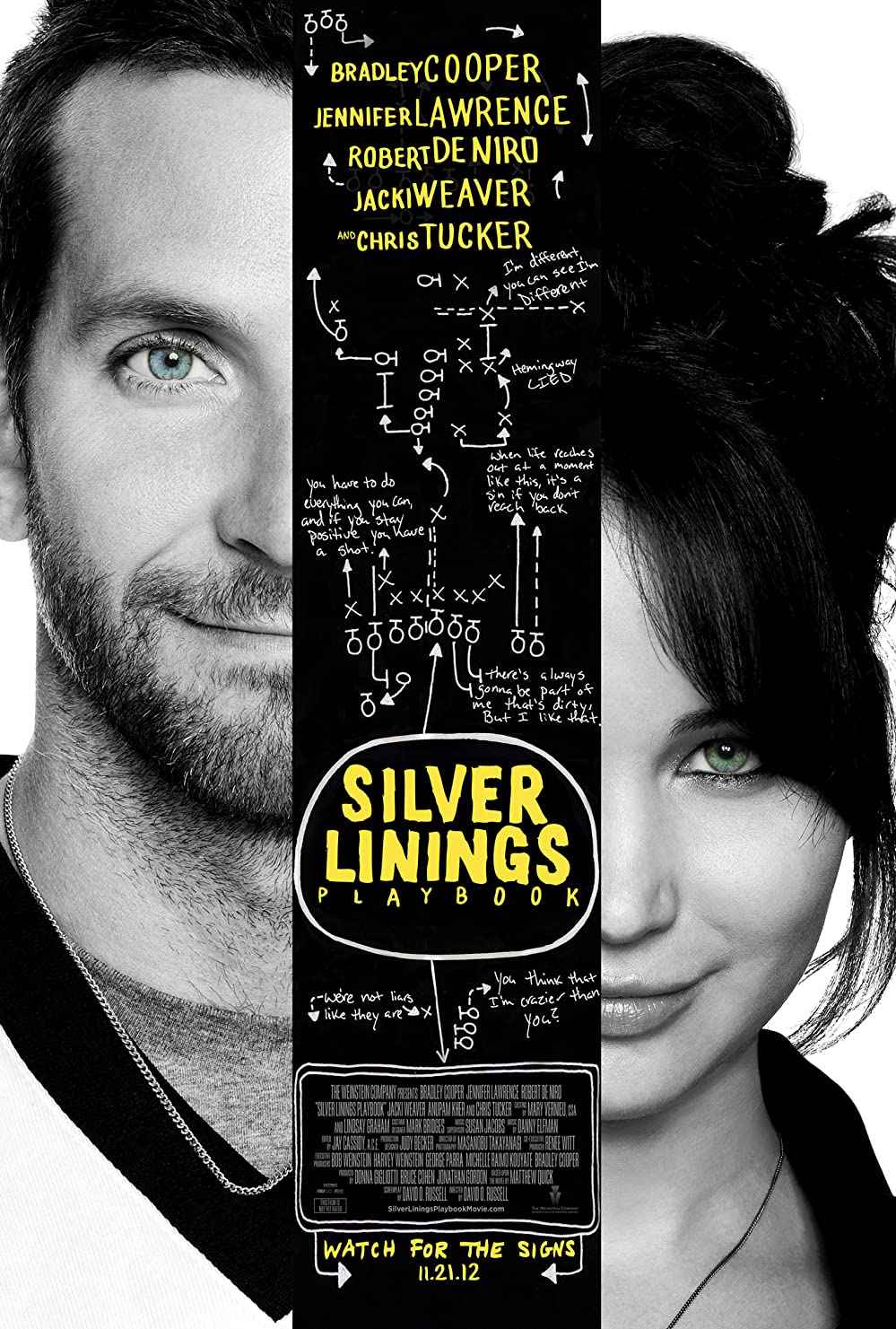 movie similar to Perks of Being a Wallflower Silver Linings Playbook (2012)