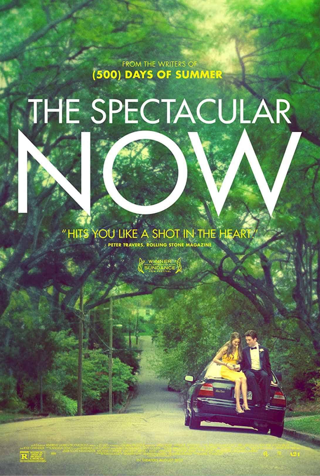 movies similar to Perks of Being a Wallflower The Spectacular Now (2013)
