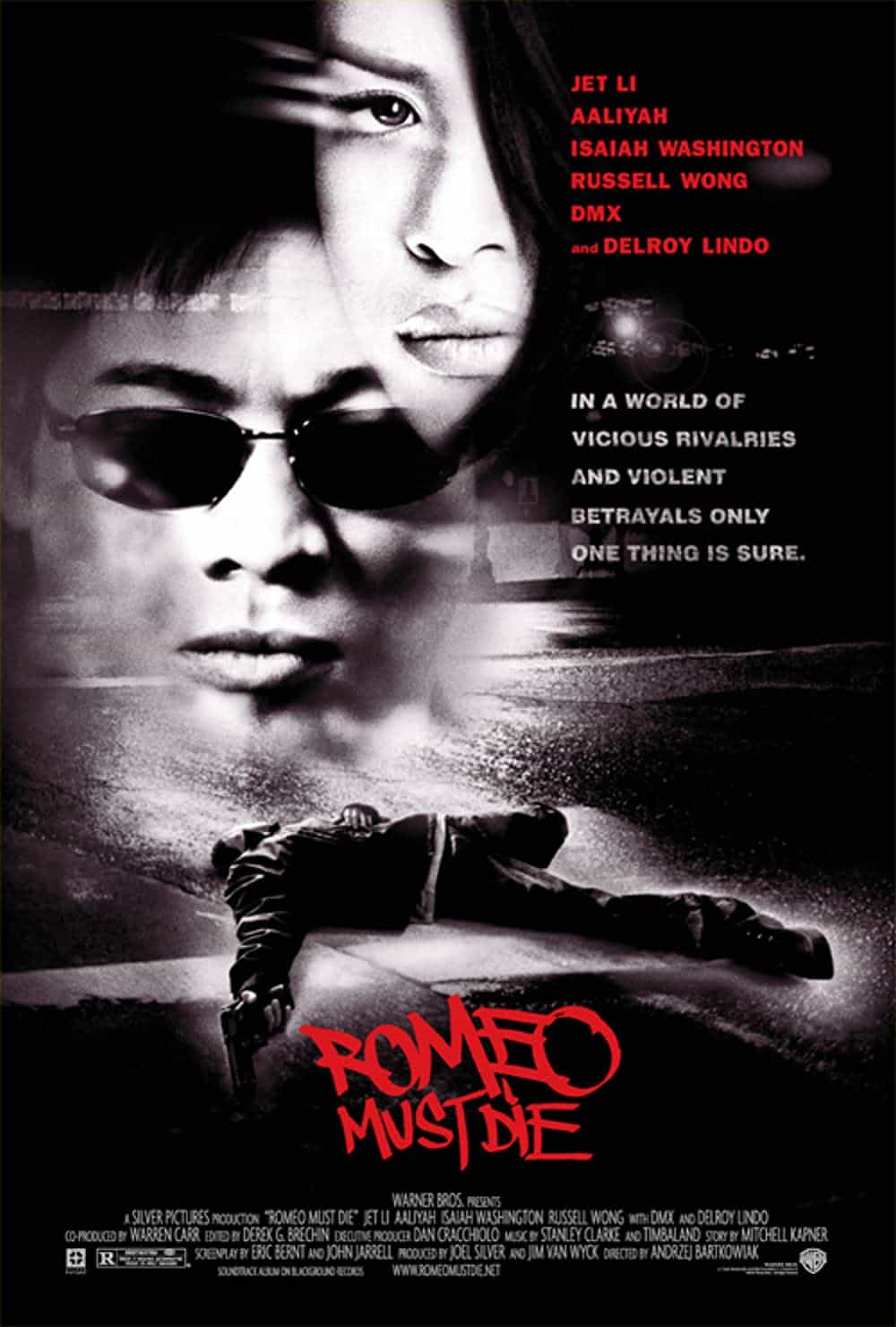 Best Fighting Movies You Can't Miss Romeo Must Die (2000)