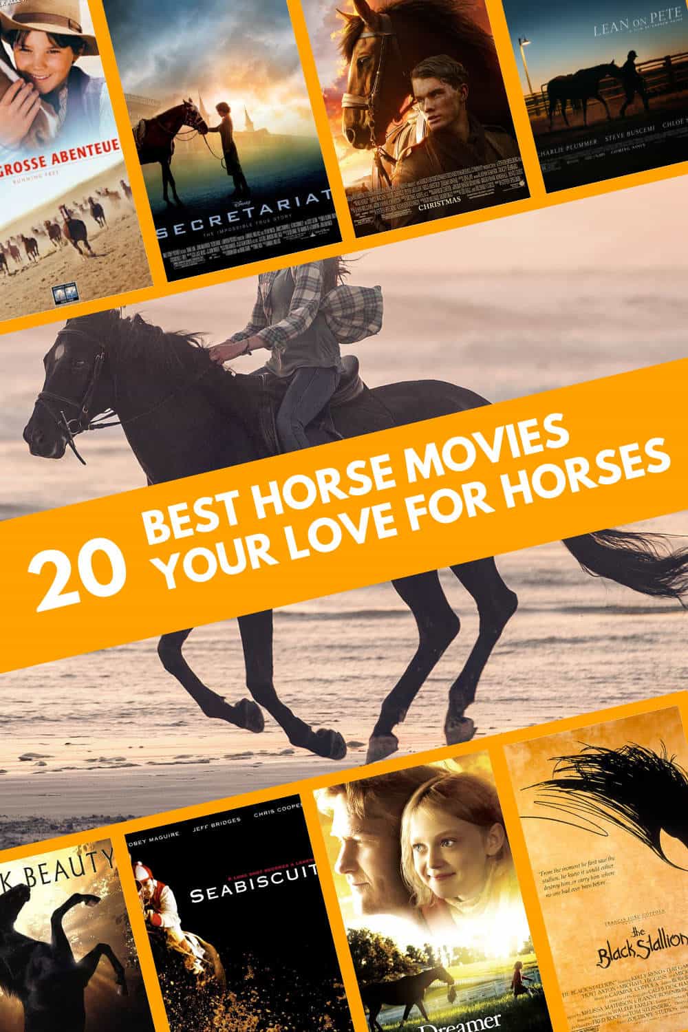 Horse Movies That Will Awaken Your Love For Horses