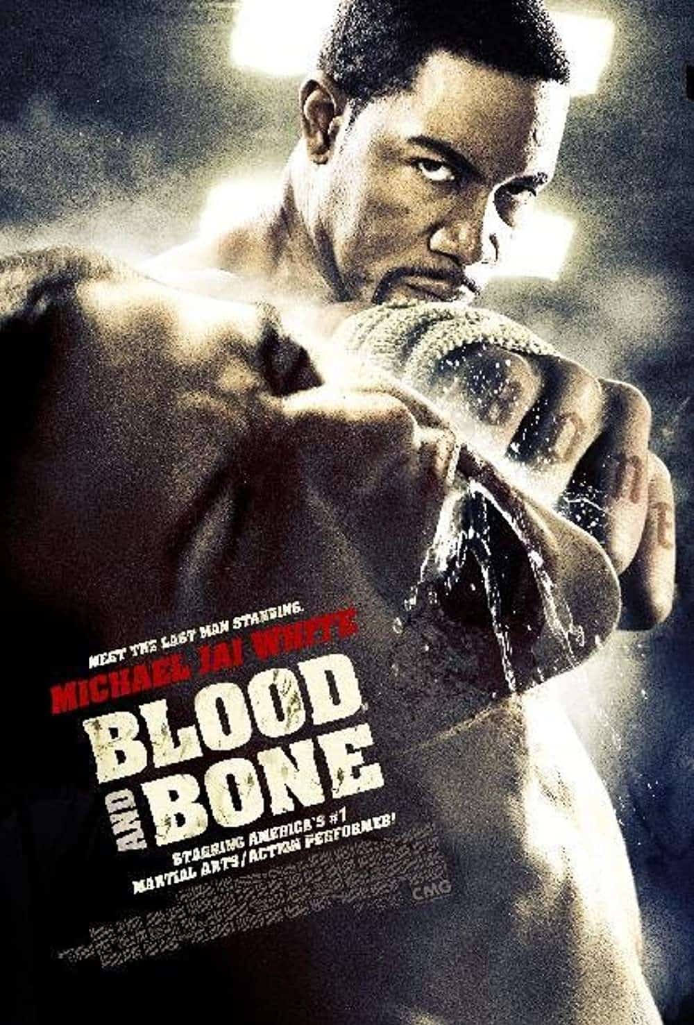 film like 500 Days Of Summer Blood and Bone (2009)