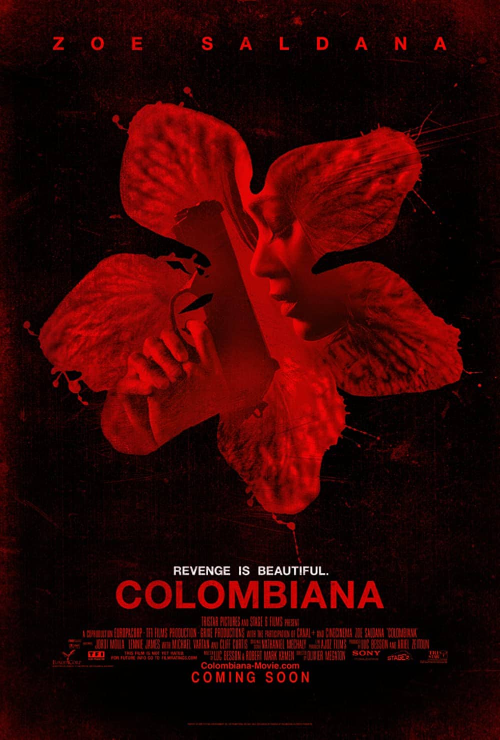 Colombiana (2011)