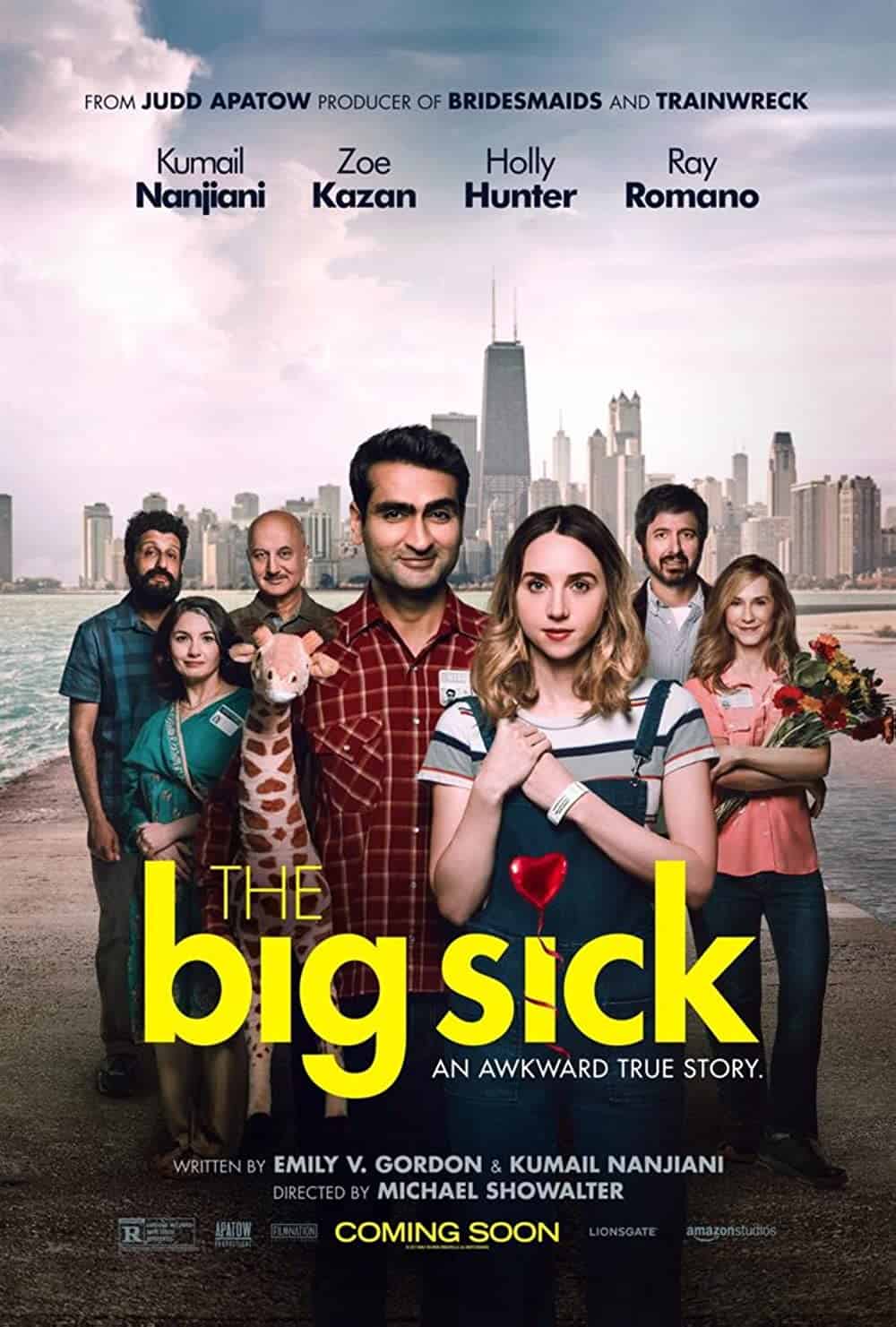 The Big Sick ( 2017) Best Chicago Movies to Add in Your Watchlist